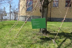 Threadsuns by Paul Celan (1920-1970)