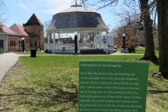 Instructions on Not Giving Up by Ada Limón