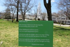 Where You Are by Elizabeth McCormack