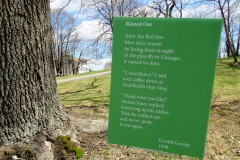 Rained Out by Gerald George