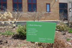 A Blank White Page by Francisco X. Alarcon