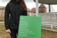 The Fox by Nyssa Williams