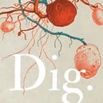 Book Review: "Dig" by A.S. King (2020)