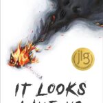 Staff Picks: It Looks Like Us by Alison Ames